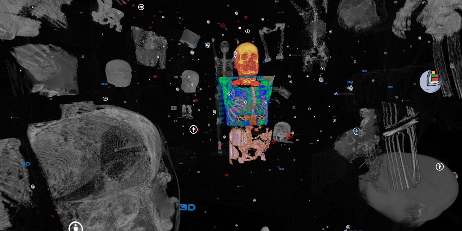 Your Data Body